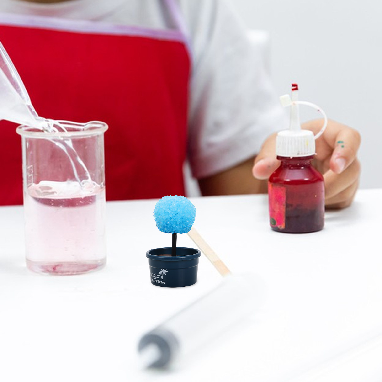 Science Project - 1Set Crystal DIY Science Kit Fast