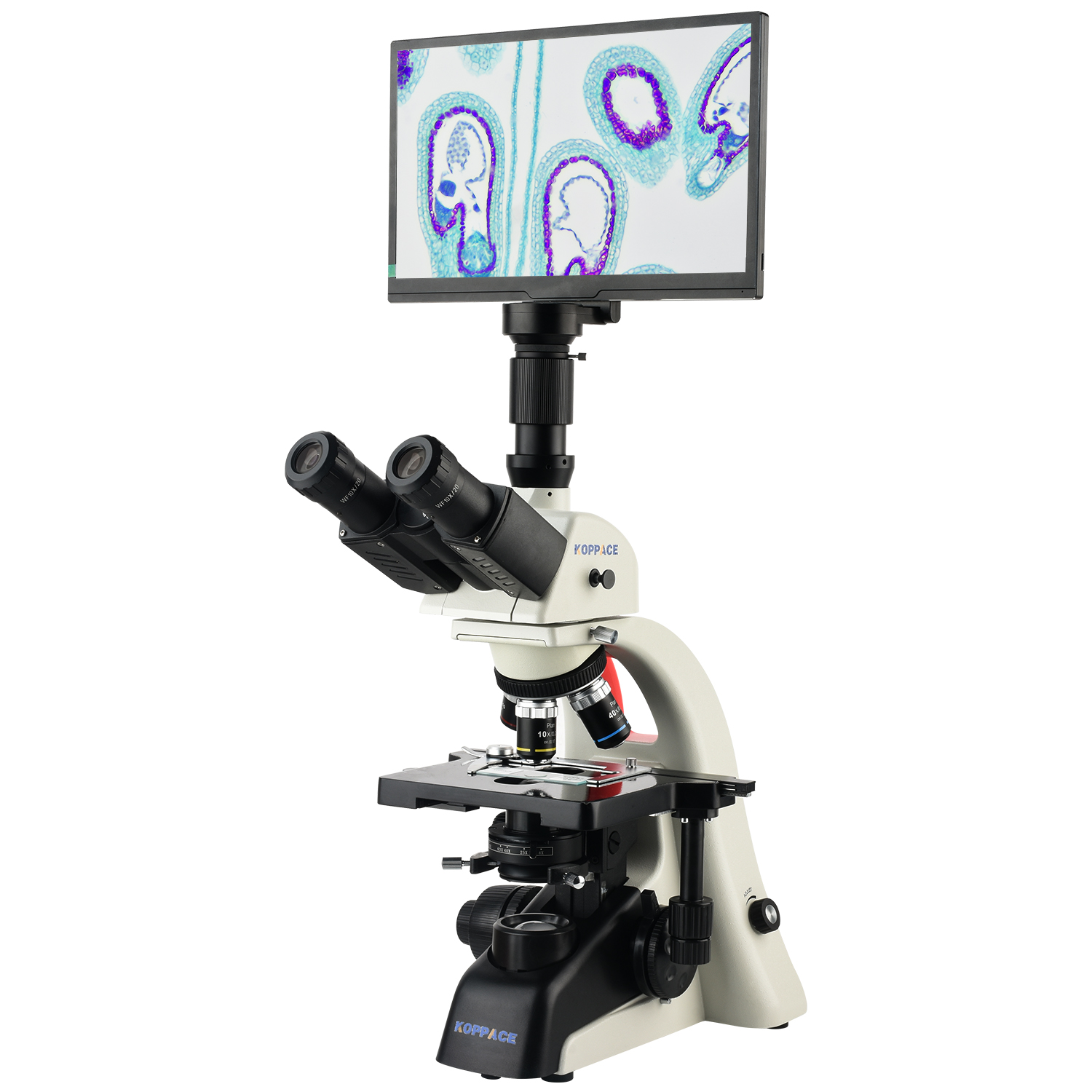 Microscope Compound 40X - KOPPACE 40X-1600X Electron Compound Lab Microscope