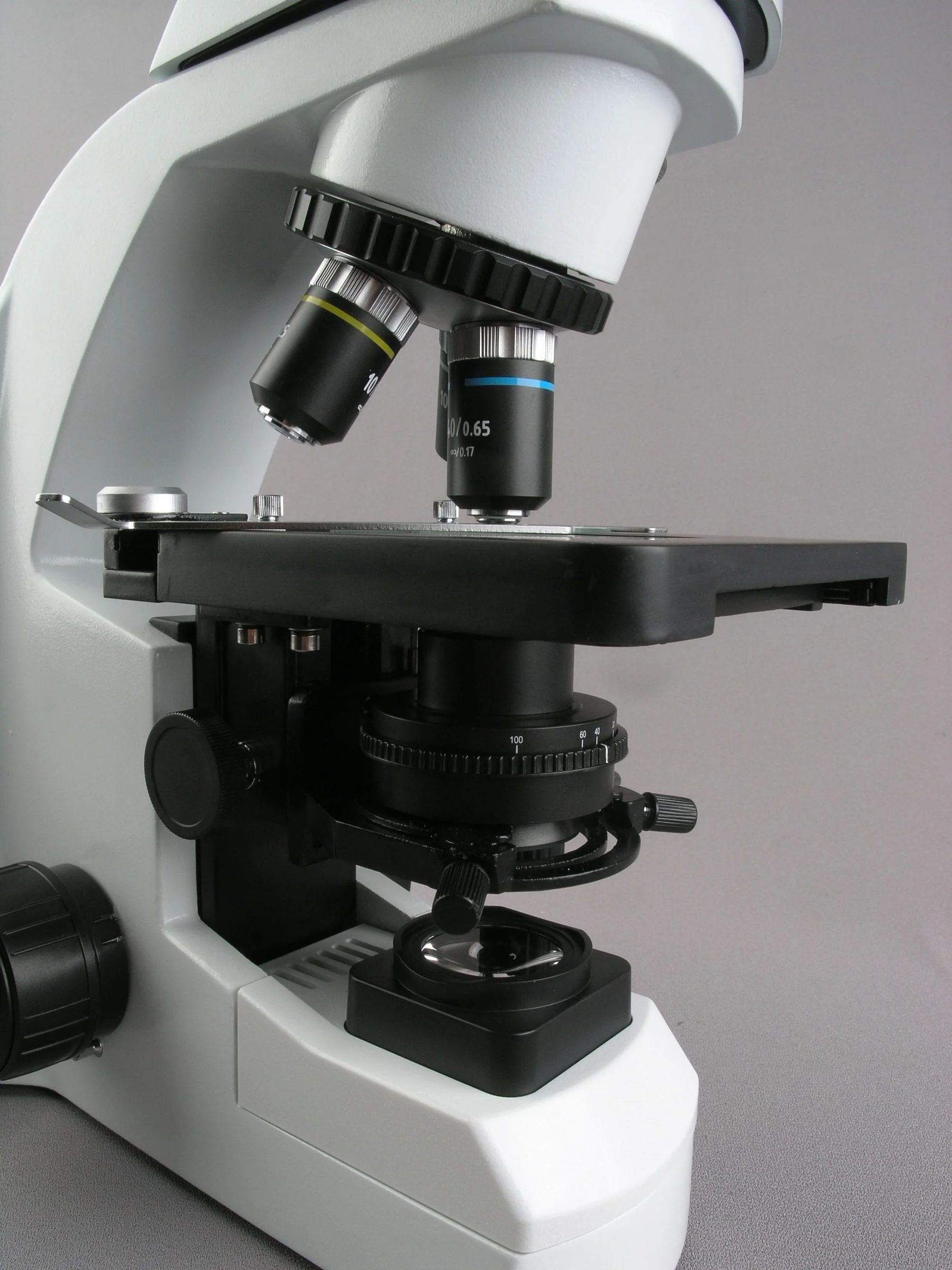 AmScope Infinity-Corrected Tri - Microscope Compound 40X ulasan dan harga