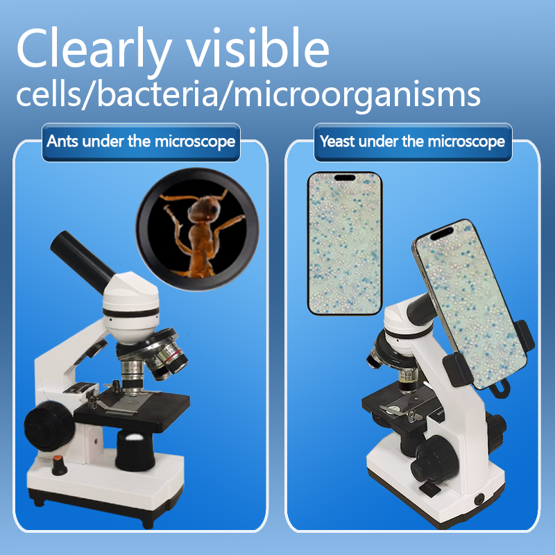 Portable Biological Optical Co - Microscope Compound 40X ulasan dan harga