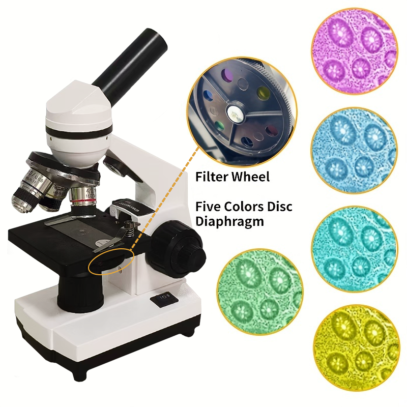 Portable Biological Optical Co - Microscope Compound 40X ulasan dan harga