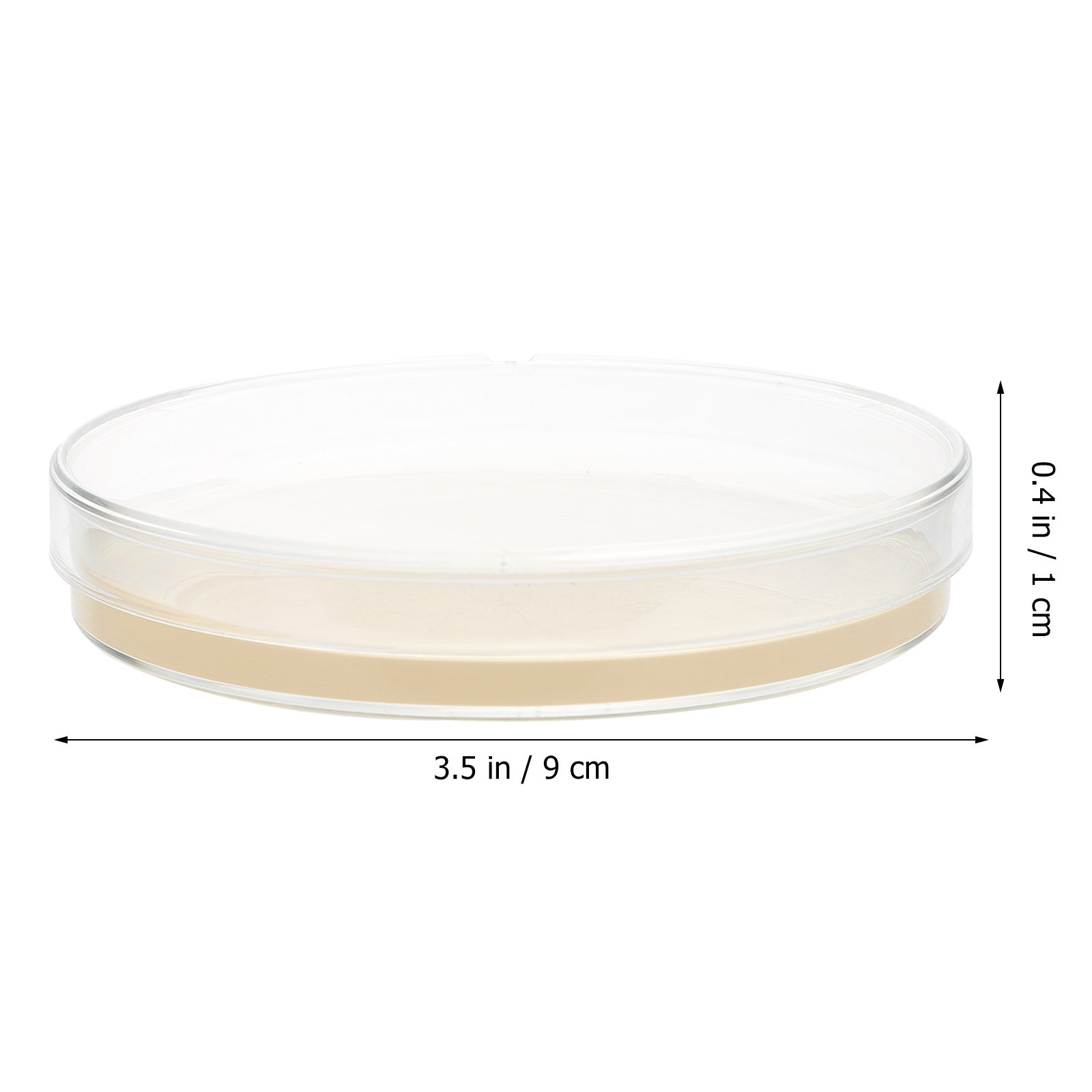 10pcs Nutrient Agar Plates Pre - Science Project ulasan dan harga