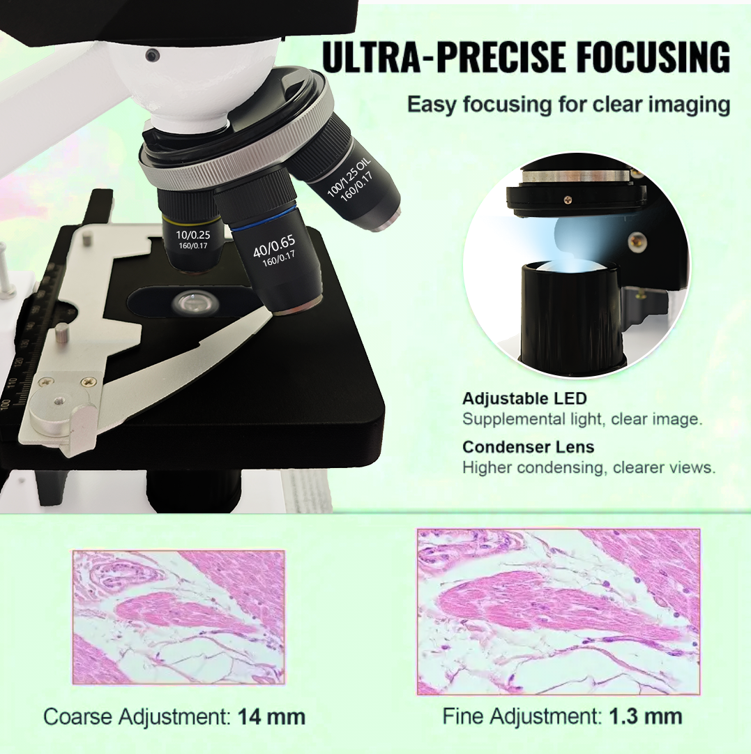 40X-2500X Professional Binocul - Microscope Compound 40X ulasan dan harga