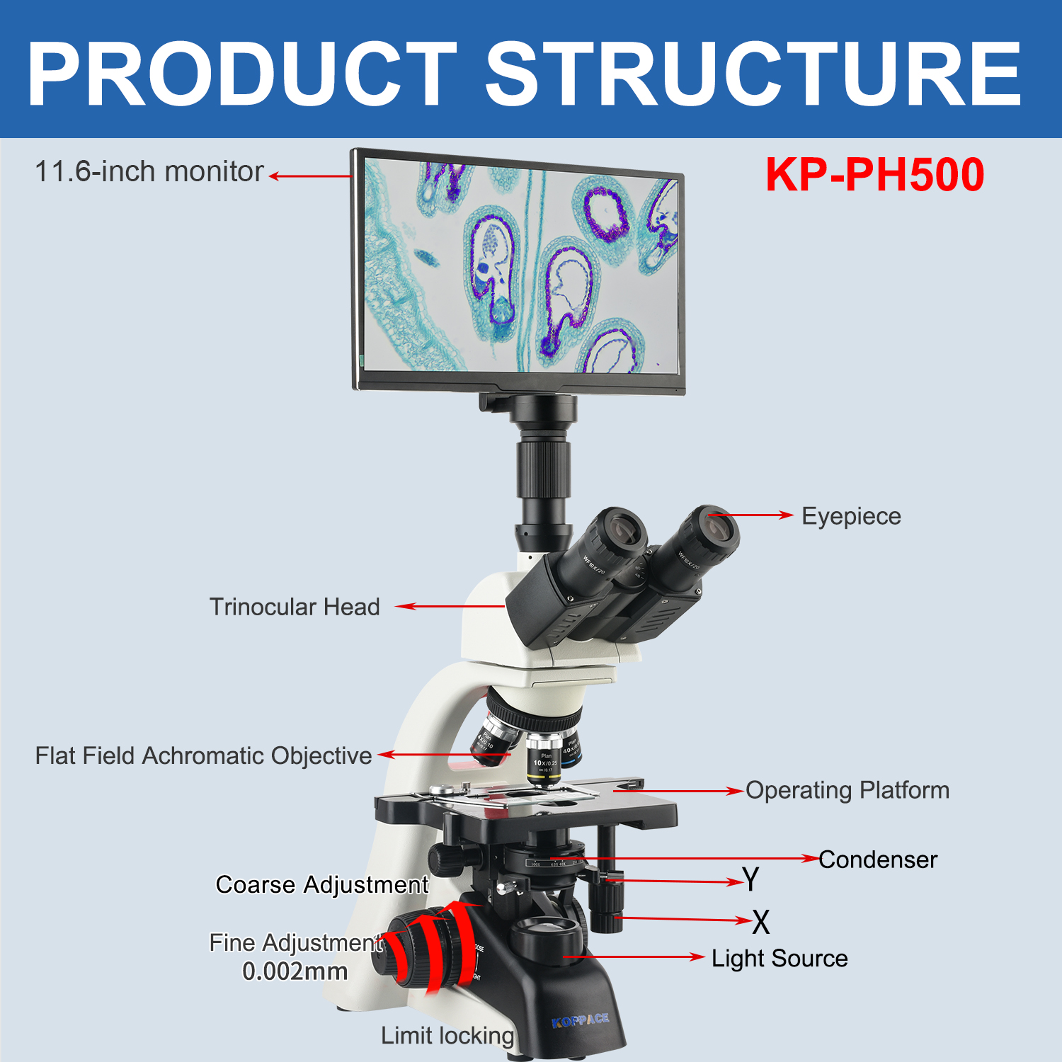 KOPPACE 40X-1600X Electron Com - Microscope Compound 40X ulasan dan harga